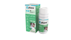 Zylkene kaps. Keskikokoisille koirille (15-30kg) 30 kpl